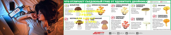 MESCALINE Армянск