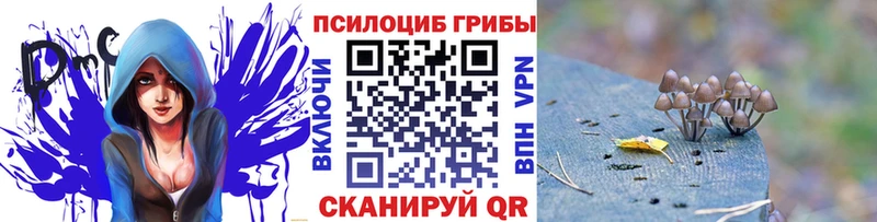 Псилоцибиновые грибы Magic Shrooms  Данков 